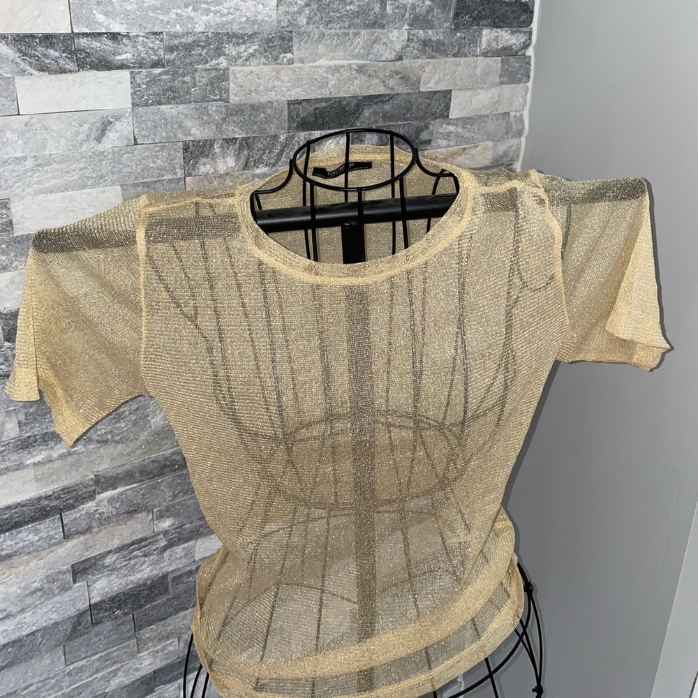 Zara glitter mesh top